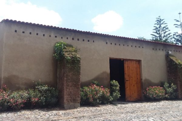 Terraza Hacienda tesistan_02
