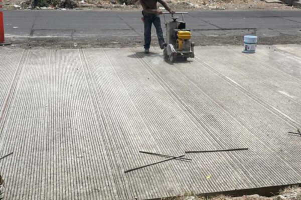 Planta de transferencia